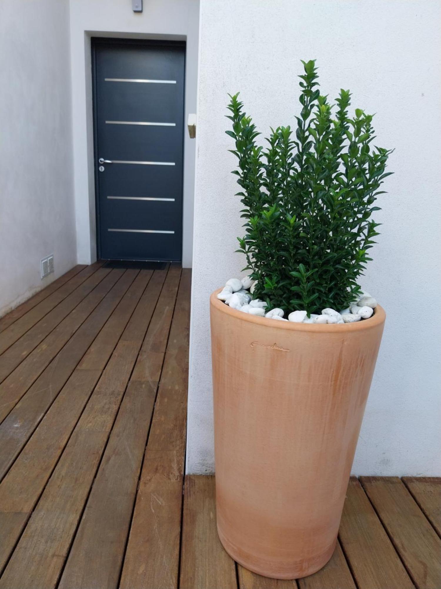 Studio Cocon Enea Bidart, Terrasse Et Parking Экстерьер фото
